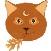 Herbstkatze