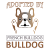 Adopts French Bulldog