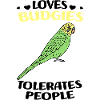 Budgerigar
