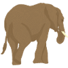 Elephant brown, African animals