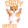 Hamster Femmes