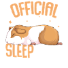 Hamster Sleeping Shirt
