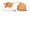 Hamster Nope Enfants Filles Garçons