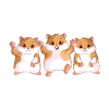 Hamster lover