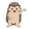 Igel Kinder Mädchen Damen