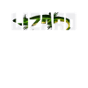 Lizard