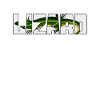 Lizard