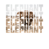 Éléphant