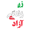 woman life freedom,زن زندگی ازادی, free Iran