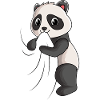 Panda amoureux Panda Bear Girl