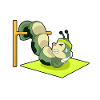 Caterpillar Abdominal Training Bodybuilding