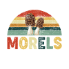 Morels Pilz Design