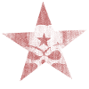 Red Star Skull Skull