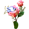 Rosen mit Friedenstaube