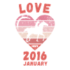 Amour équitation anniversaire Janvier 2016