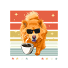 Chow Chow Sonnenbrille Kaffee