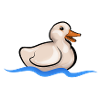 duckling