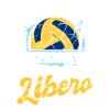 Entraîneur de jeu de volleyball