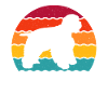 Cocker Spaniel américain