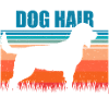 American Water Spaniel