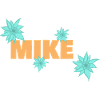 Micro