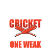 Cricket Sports Game