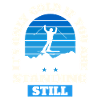 Ski de randonnée Ski