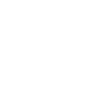 Lens