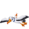 Pilot fliegt Flugzeug Bruchpilot