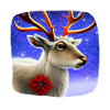 Reindeer