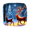 Reindeer