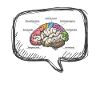 Diagram Brain Neurology Science