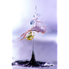 splash 04