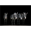 vier Zebras