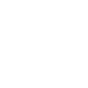 Pineapple Christmas - Christmas