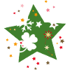 Weihnachtsstern