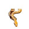 Albino Burmese Python Snake Owner