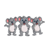 Koala Garçon