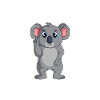 Koala Garçon