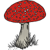 Fliegenpilz farbig