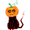 Pumpkin Cat Halloween