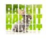 Hare