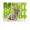 Hare