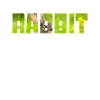Hare
