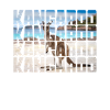 Kangaroo