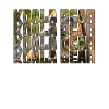 Koala Ours