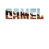 Kamel