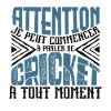 Avertissement, Cricket à tout moment.