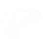 Chameleon Owner Reptile Keeper