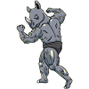 Rhino Fitness Gym Motivation